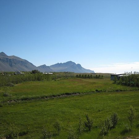 Dilksnes Guesthouse Höfn Εξωτερικό φωτογραφία