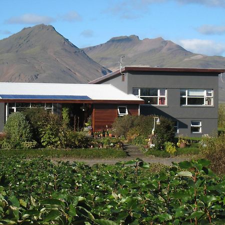 Dilksnes Guesthouse Höfn Εξωτερικό φωτογραφία