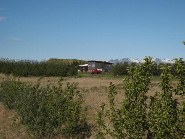 Dilksnes Guesthouse Höfn Εξωτερικό φωτογραφία