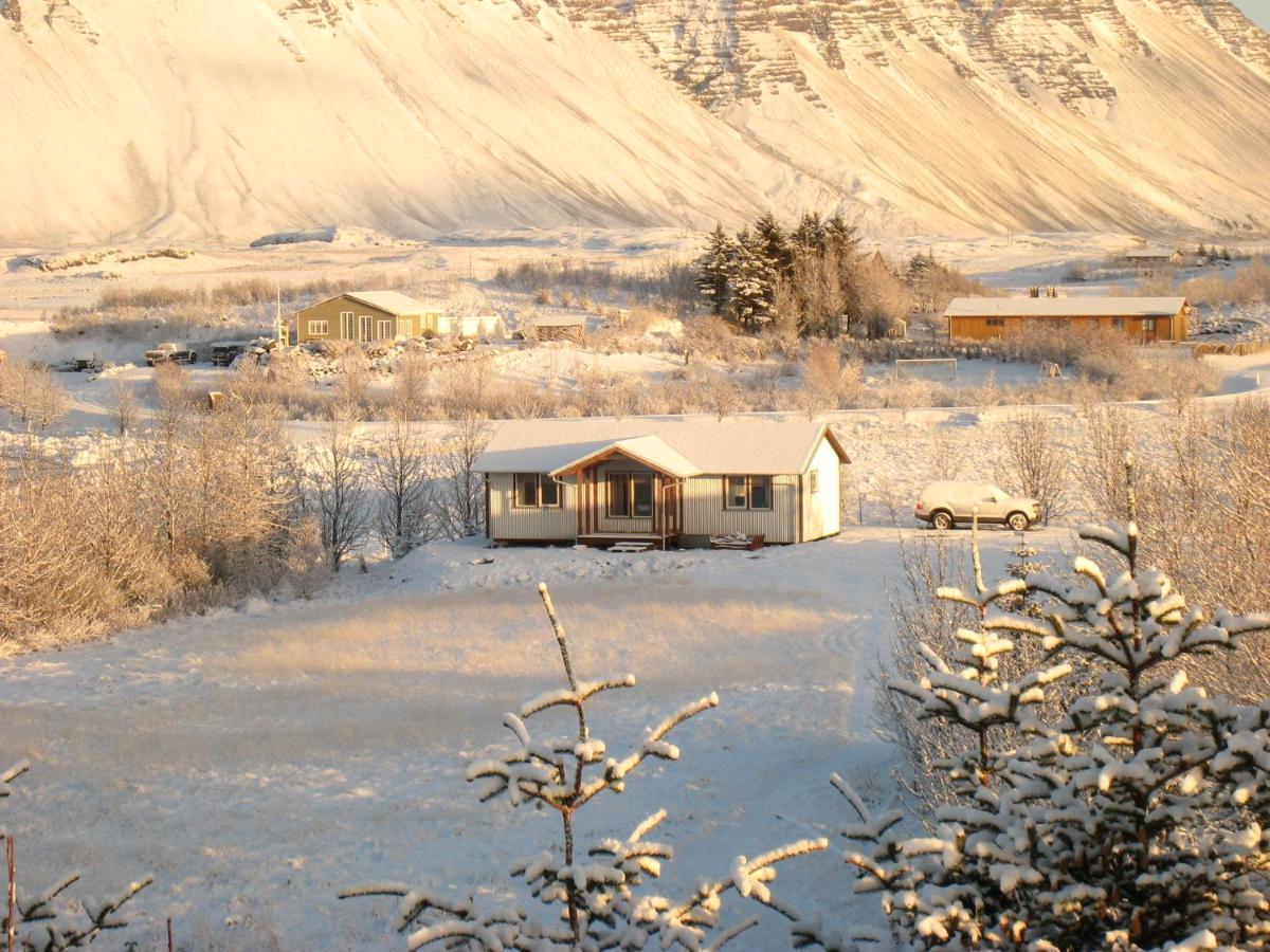 Dilksnes Guesthouse Höfn Εξωτερικό φωτογραφία