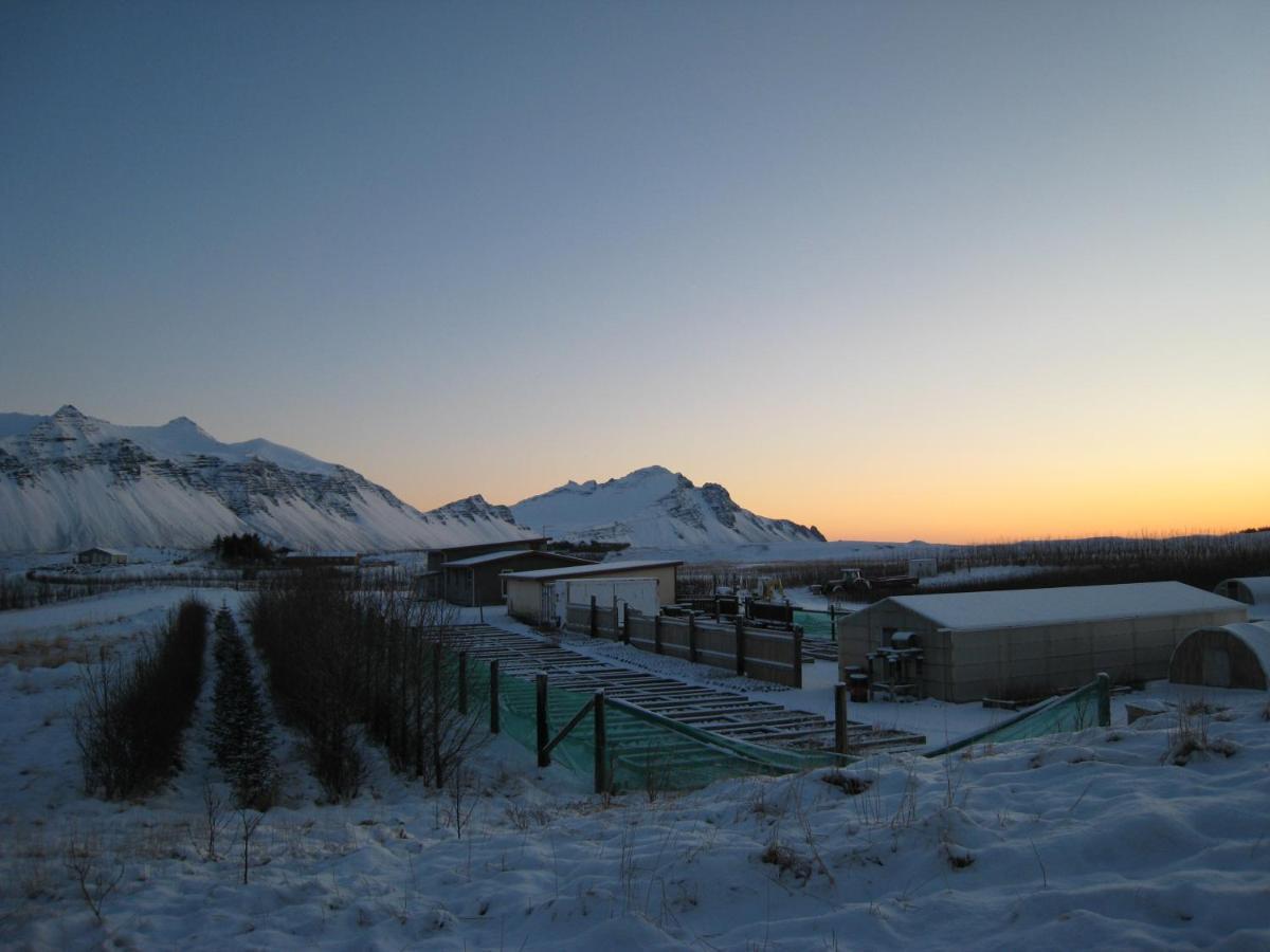 Dilksnes Guesthouse Höfn Εξωτερικό φωτογραφία
