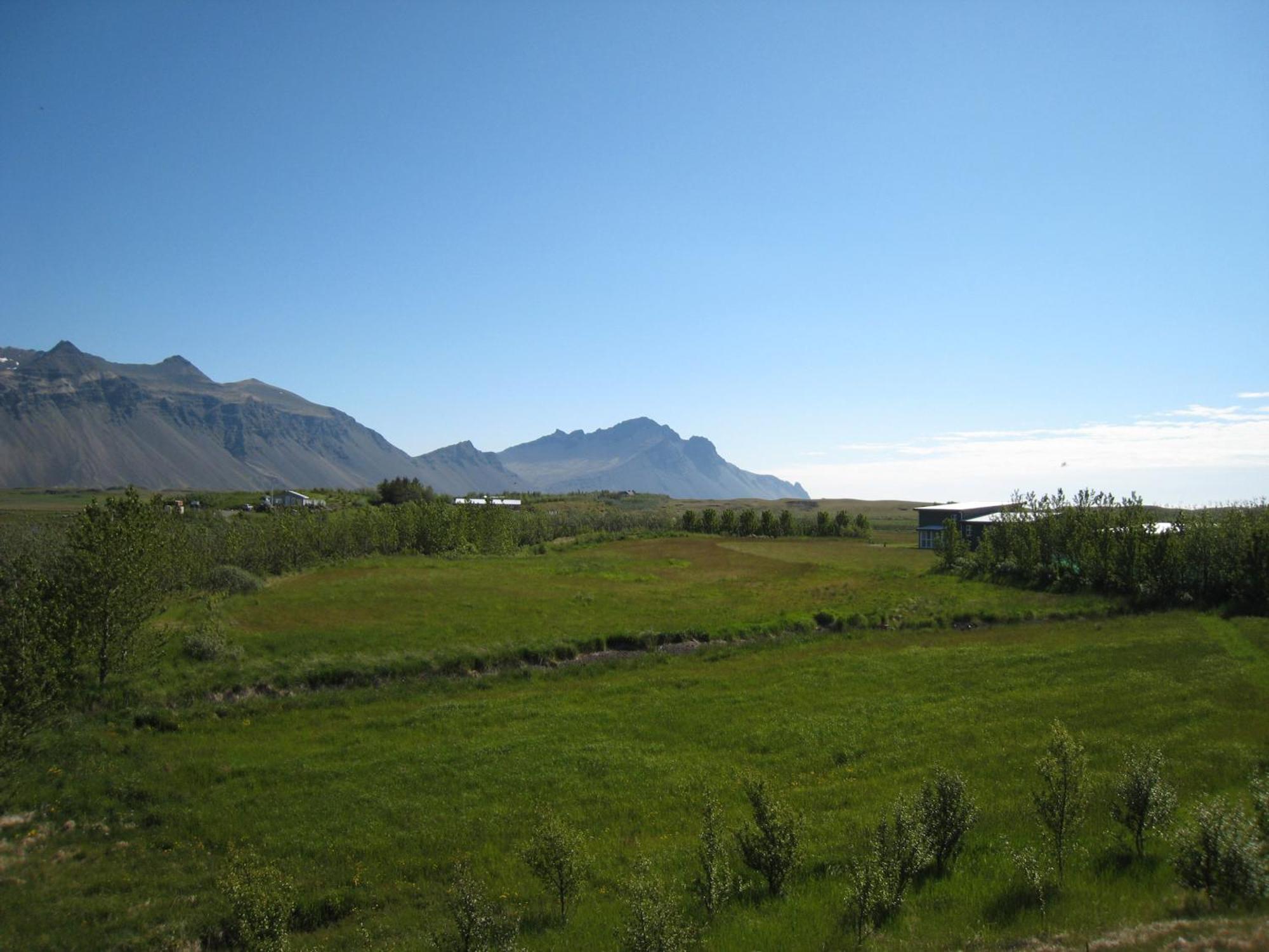 Dilksnes Guesthouse Höfn Εξωτερικό φωτογραφία
