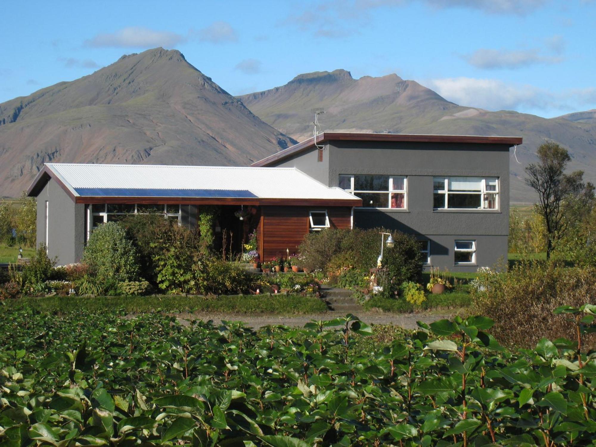 Dilksnes Guesthouse Höfn Εξωτερικό φωτογραφία