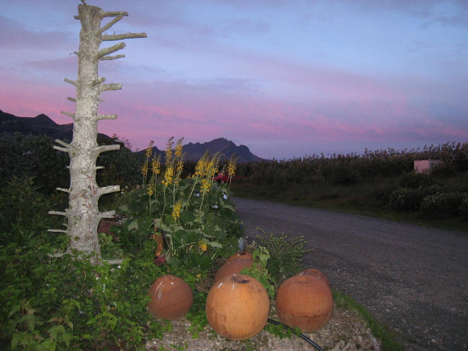 Dilksnes Guesthouse Höfn Εξωτερικό φωτογραφία