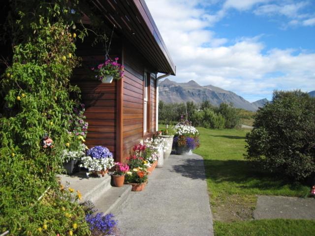 Dilksnes Guesthouse Höfn Εξωτερικό φωτογραφία