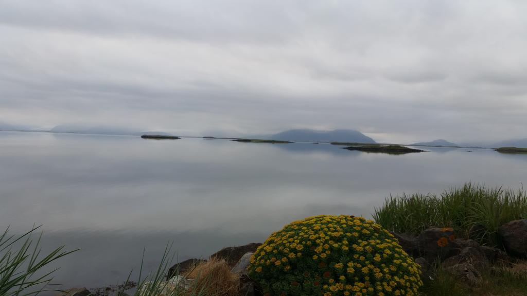 Dilksnes Guesthouse Höfn Εξωτερικό φωτογραφία