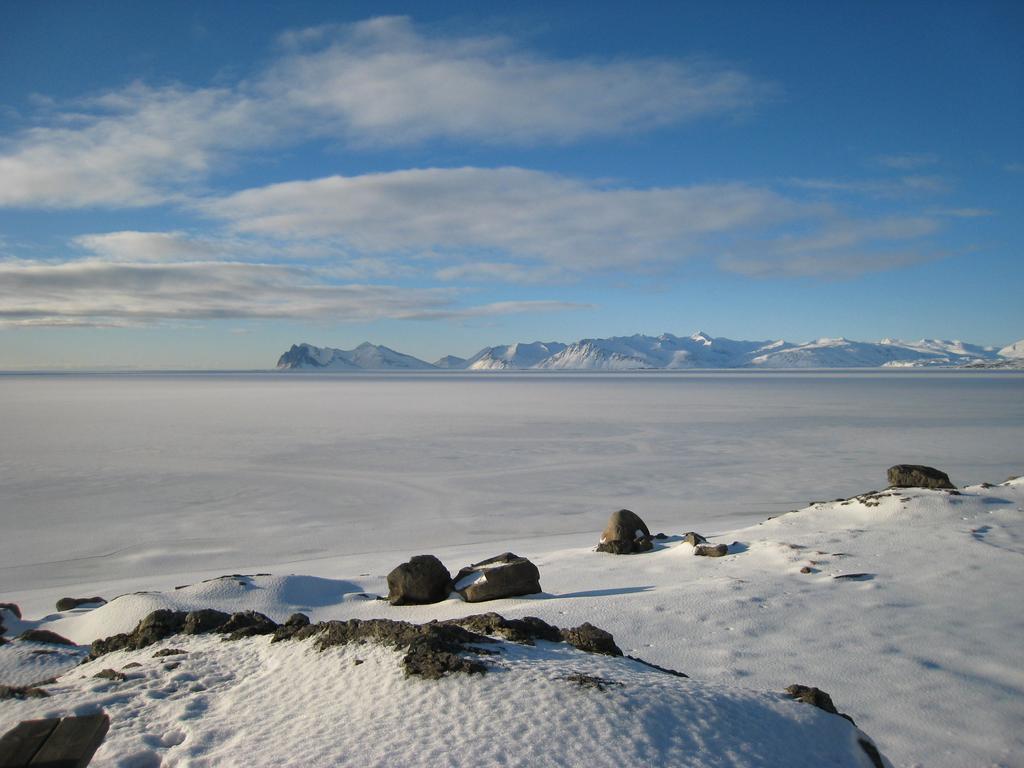 Dilksnes Guesthouse Höfn Εξωτερικό φωτογραφία