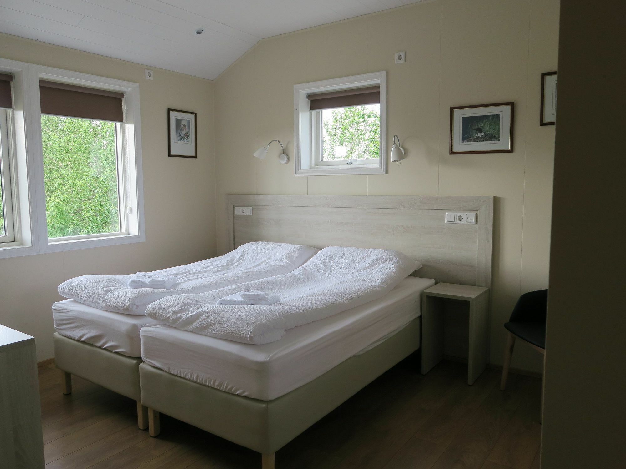 Dilksnes Guesthouse Höfn Εξωτερικό φωτογραφία